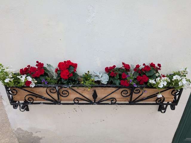 Jardinière en fer forgé avec bégonias rouges et pétunias blancs