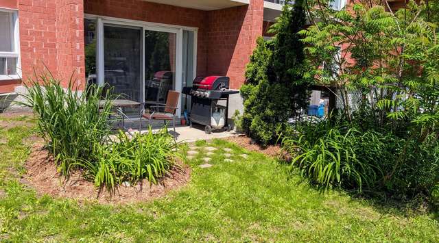 Après entretien, plate-bande d'hémérocalles sur une terrasse d'immeuble
