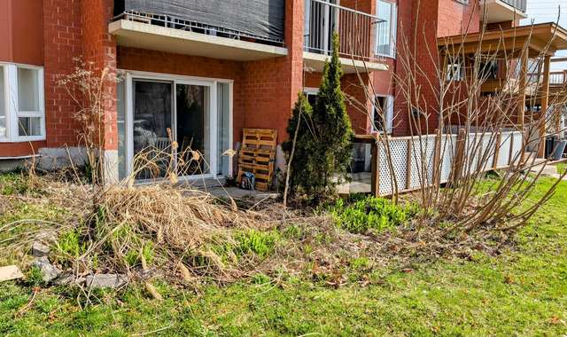 Avant entretien printanier, plate-bande de tiges sèches sur une terrasse d'immeuble