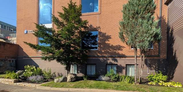 Après entretien, plate-bande de vivaces et rocaille contre un immeuble de brique
