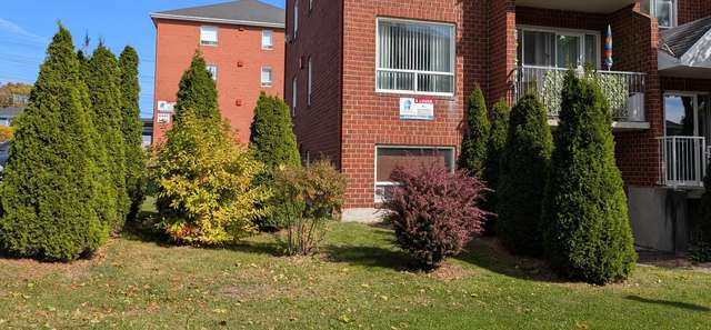 Après entretien d'automne, plate-bande nette devant un immeuble à louer