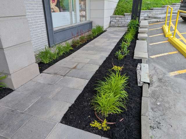 Plate-bandes de graminées et vivaces le long d'une allée commerciale