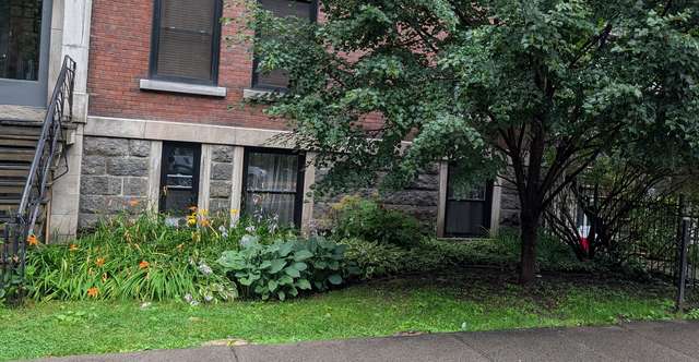 Après entretien, plate-bande d'hémérocalles et d'hostas devant un immeuble de brique
