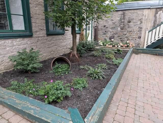 Plate-bande de cour intérieure avec arbre et jardinière décorative